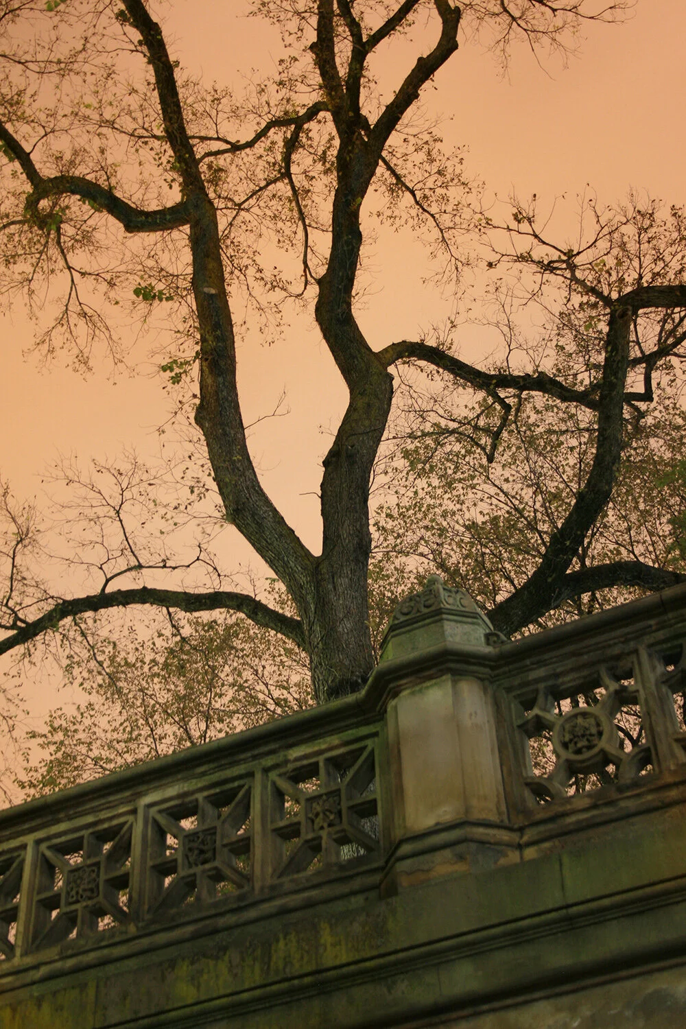 Terry Hill006__1000.jpg