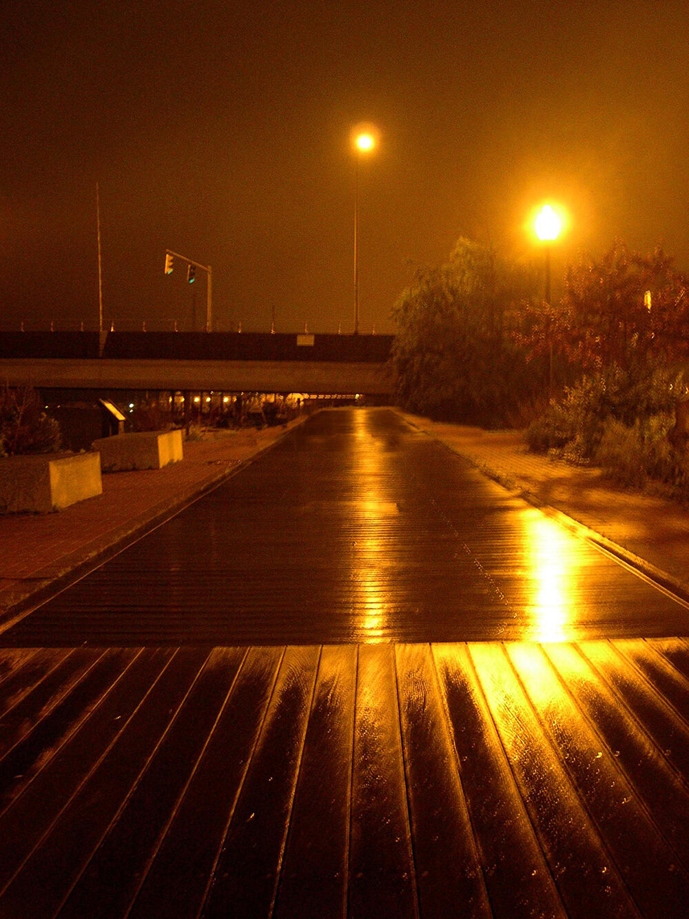 Terry Hill020__1000.jpg