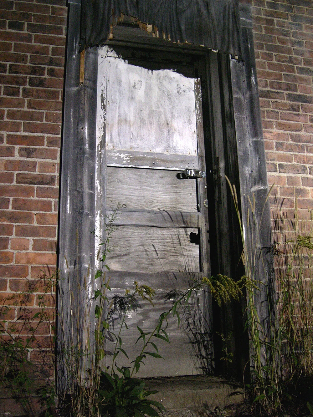 Terry Hill028__1000.jpg