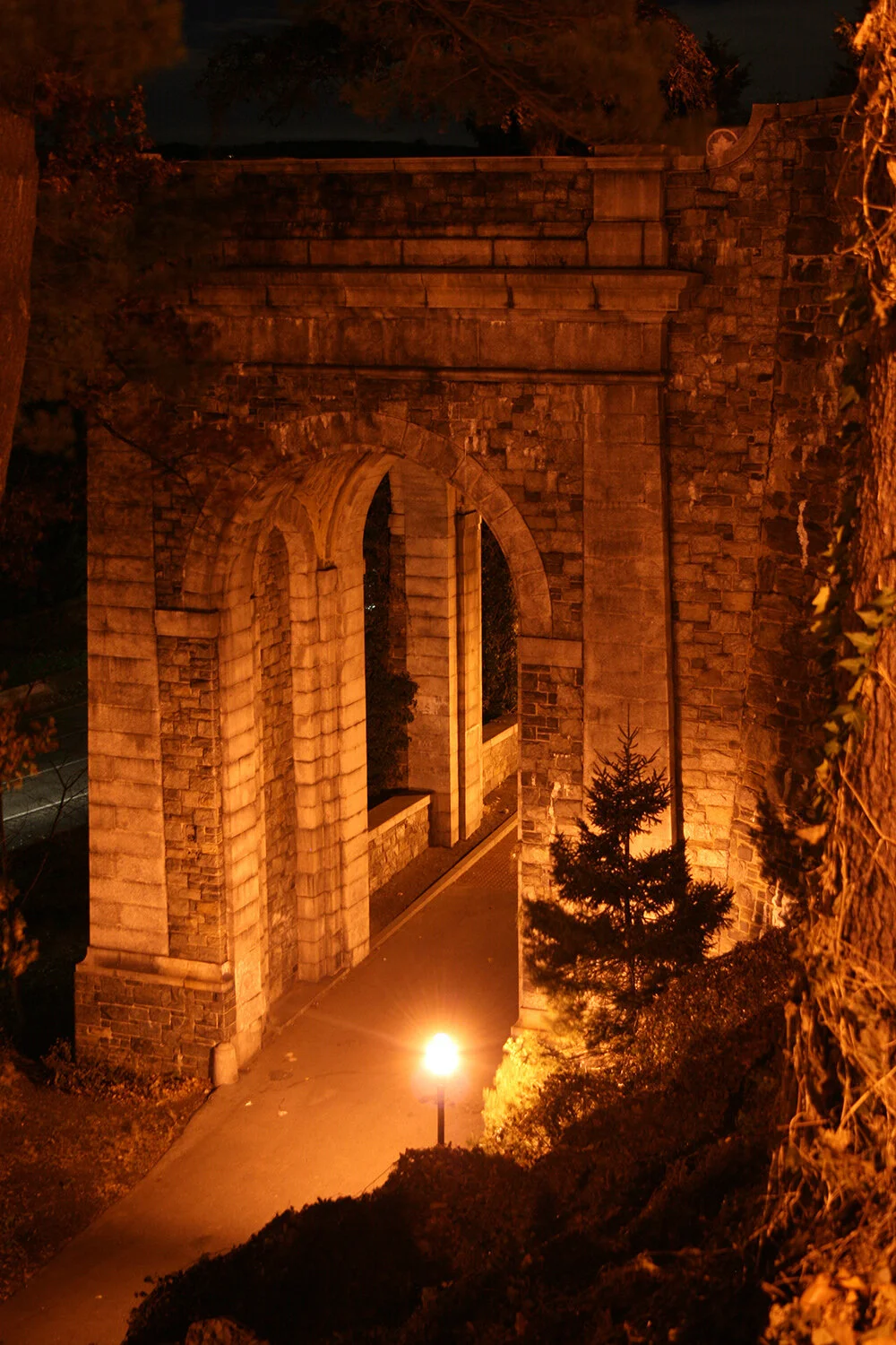 Terry Hill045__1000.jpg