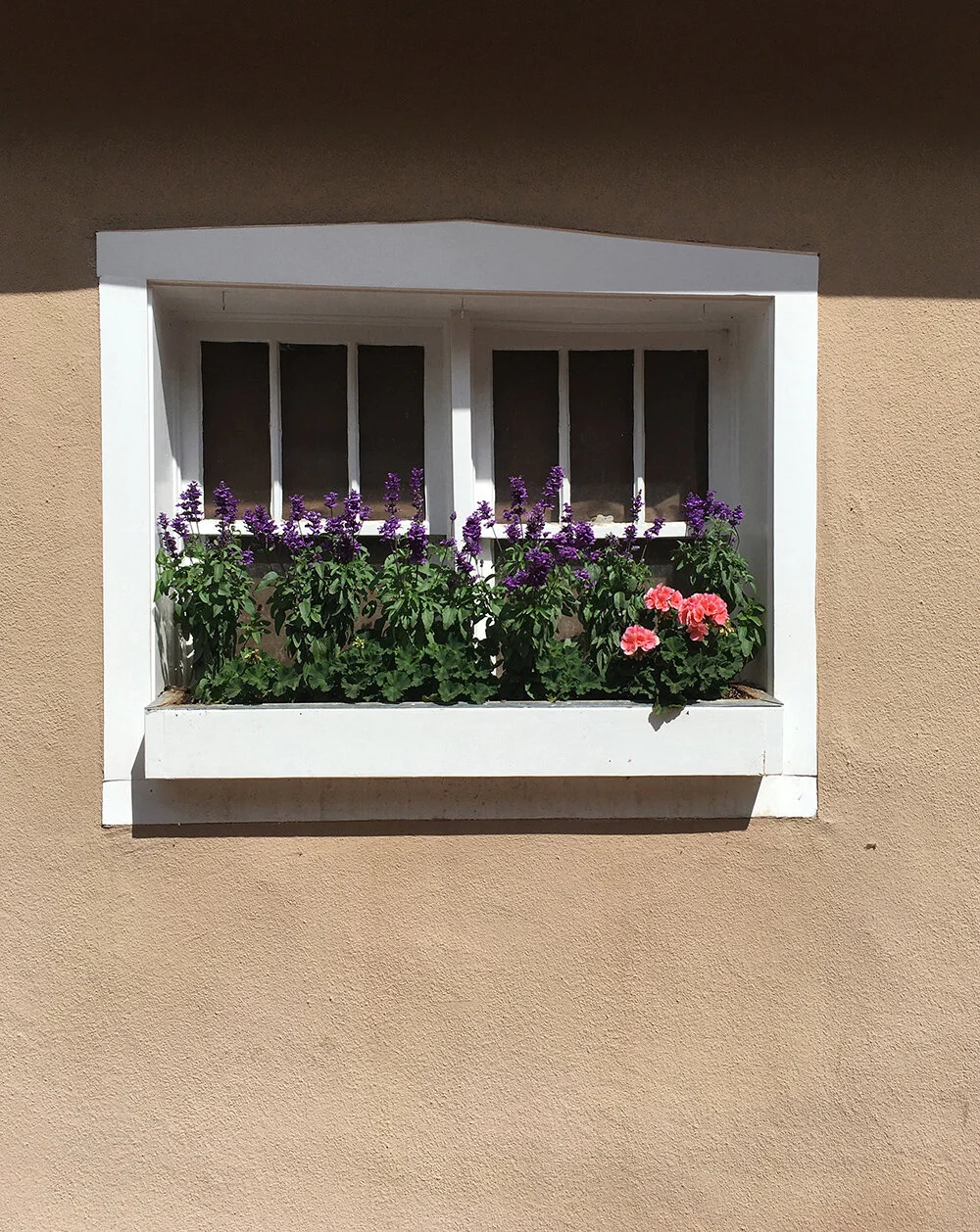 Terry Hill053__1000.jpg