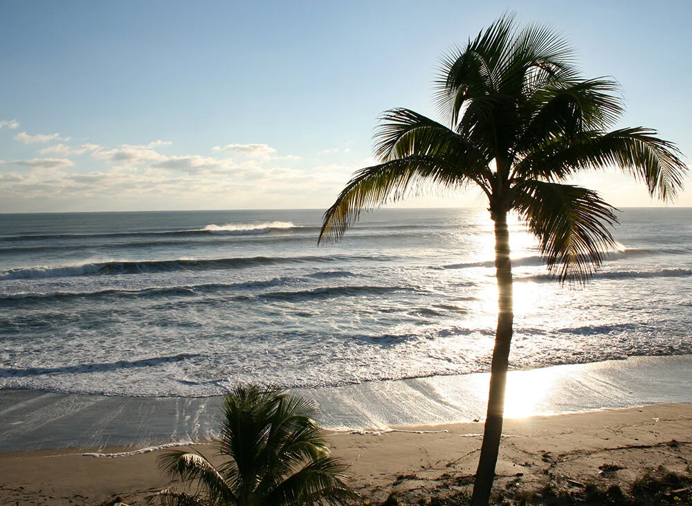 Terry Hill066__1000.jpg