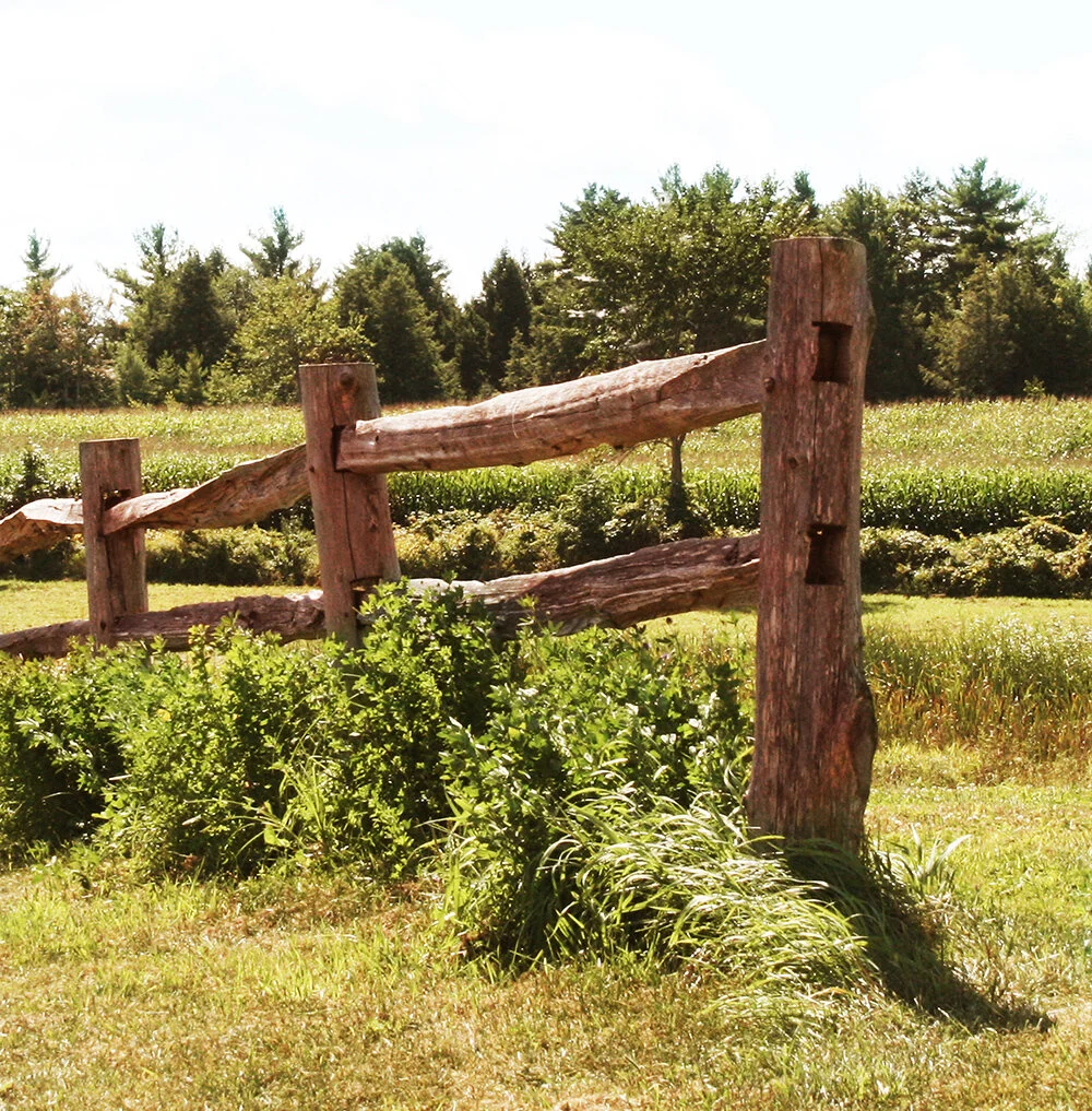 Terry Hill072__1000.jpg