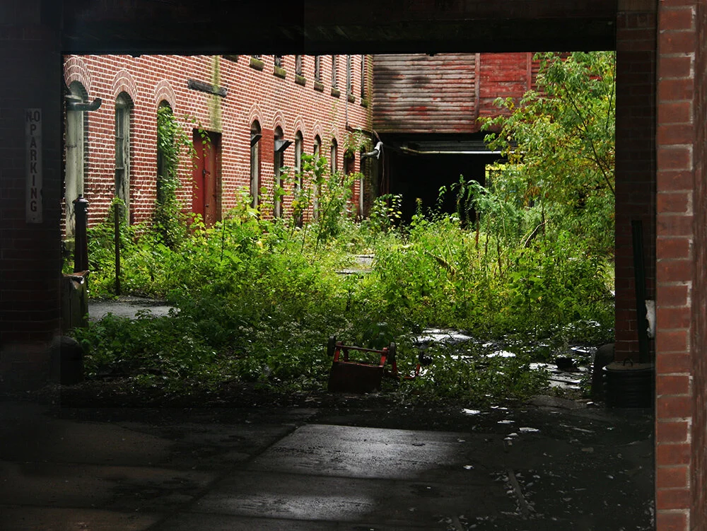 Terry Hill078__1000.jpg