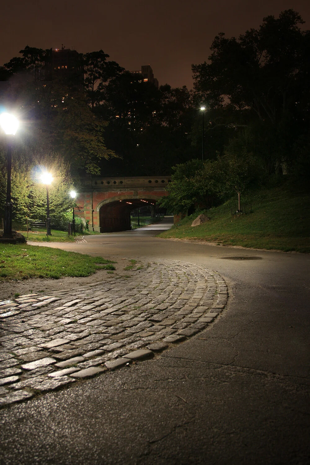 Terry Hill079__1000.jpg