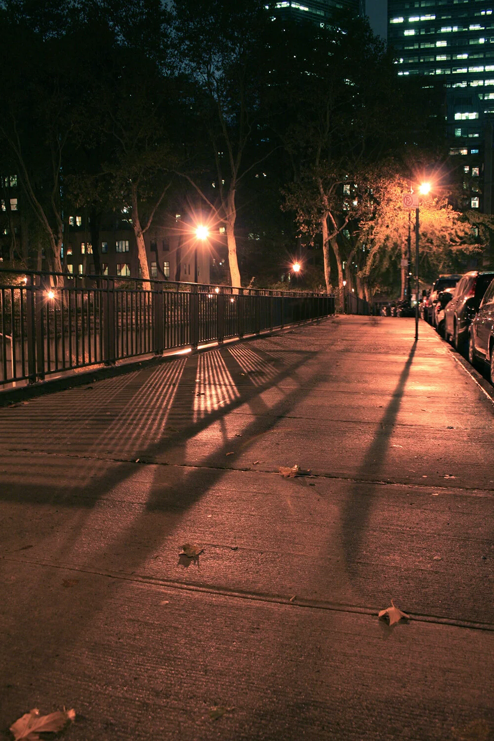 Terry Hill081__1000.jpg