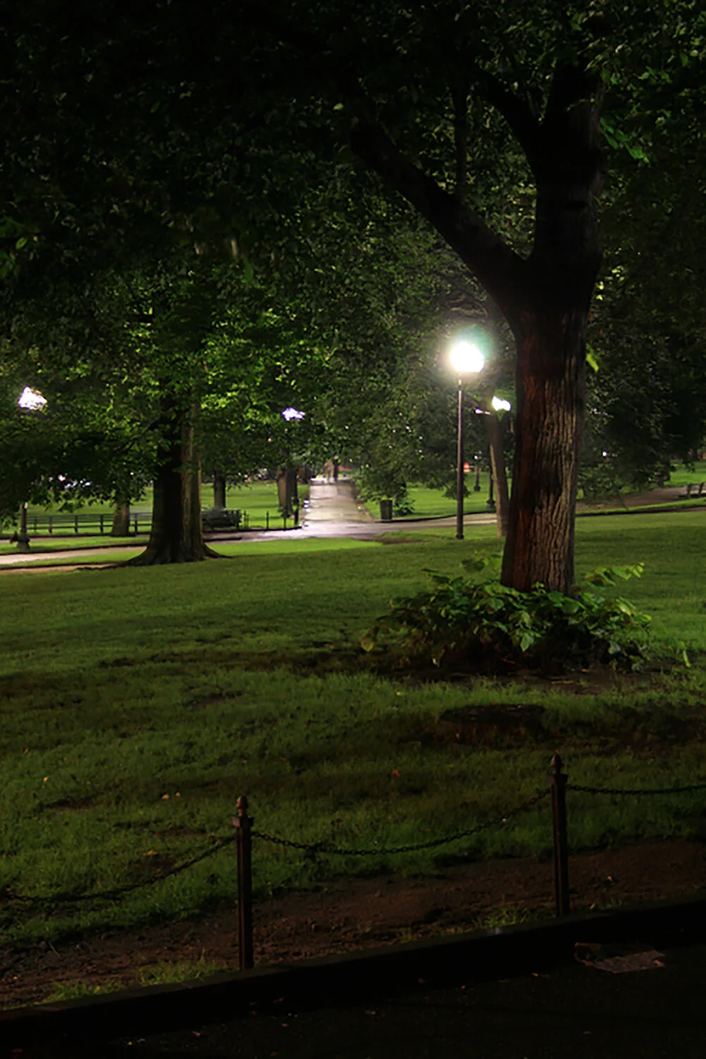 Terry Hill112__1000.jpg