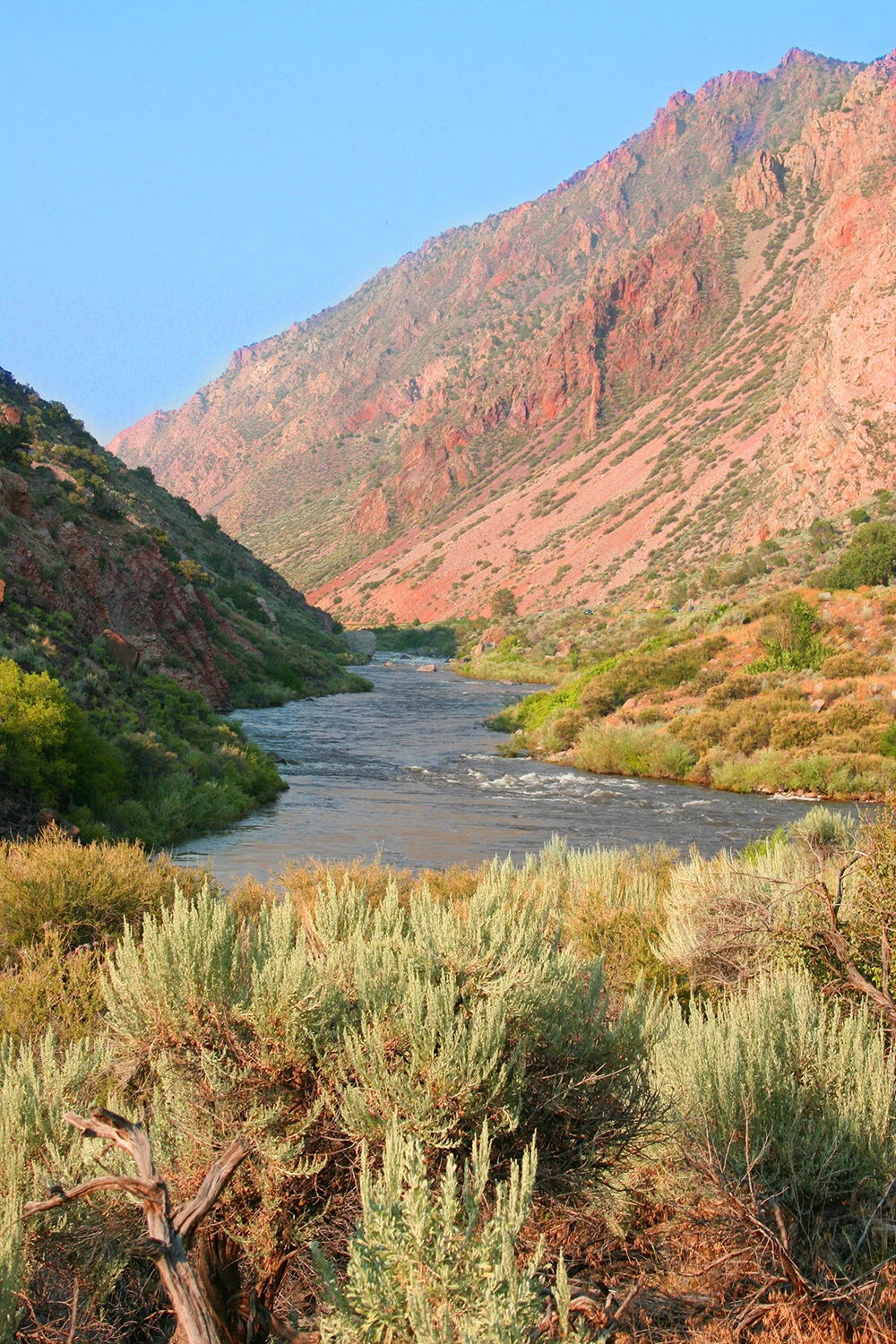 Terry Hill117__1000.jpg