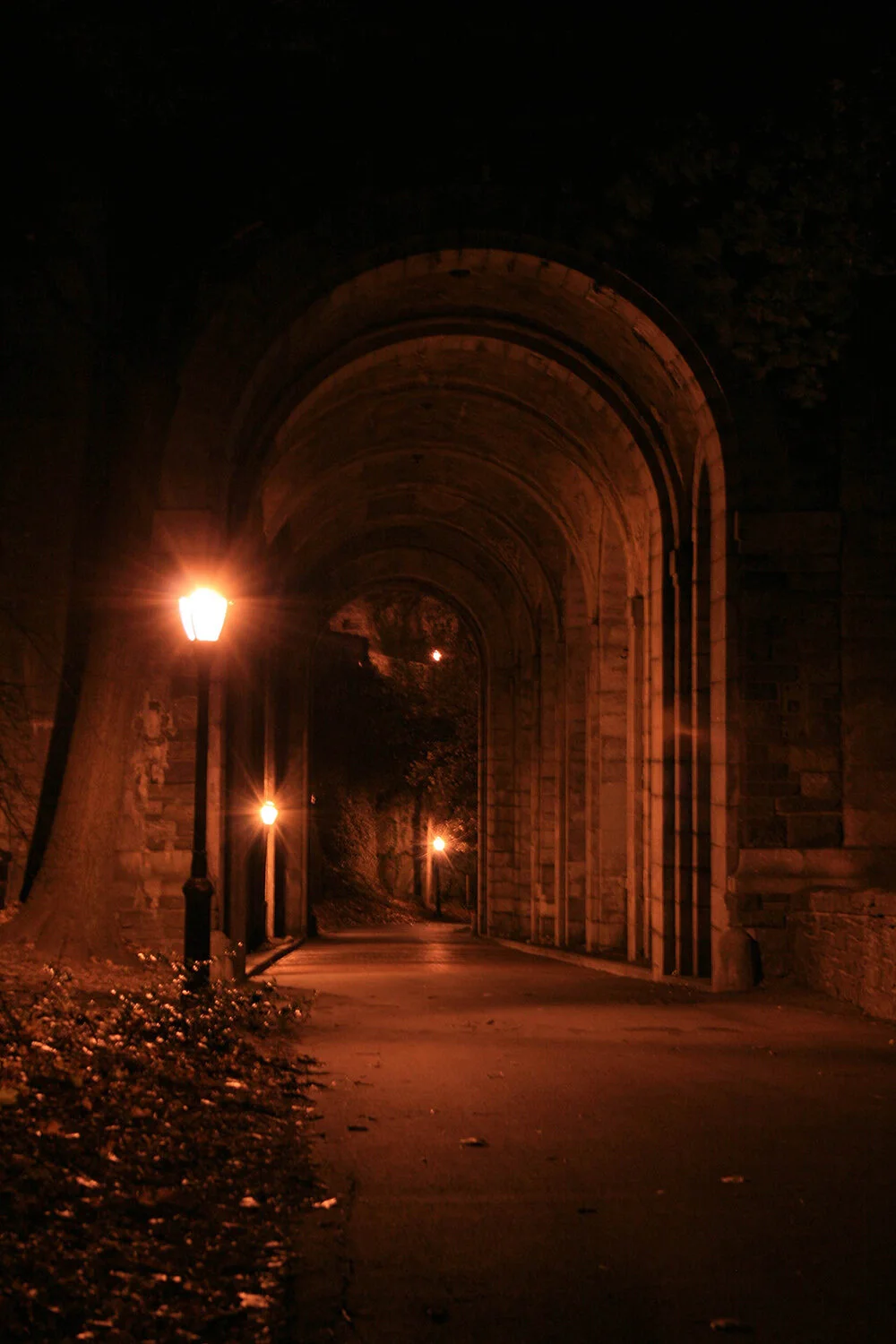 Terry Hill125__1000.jpg