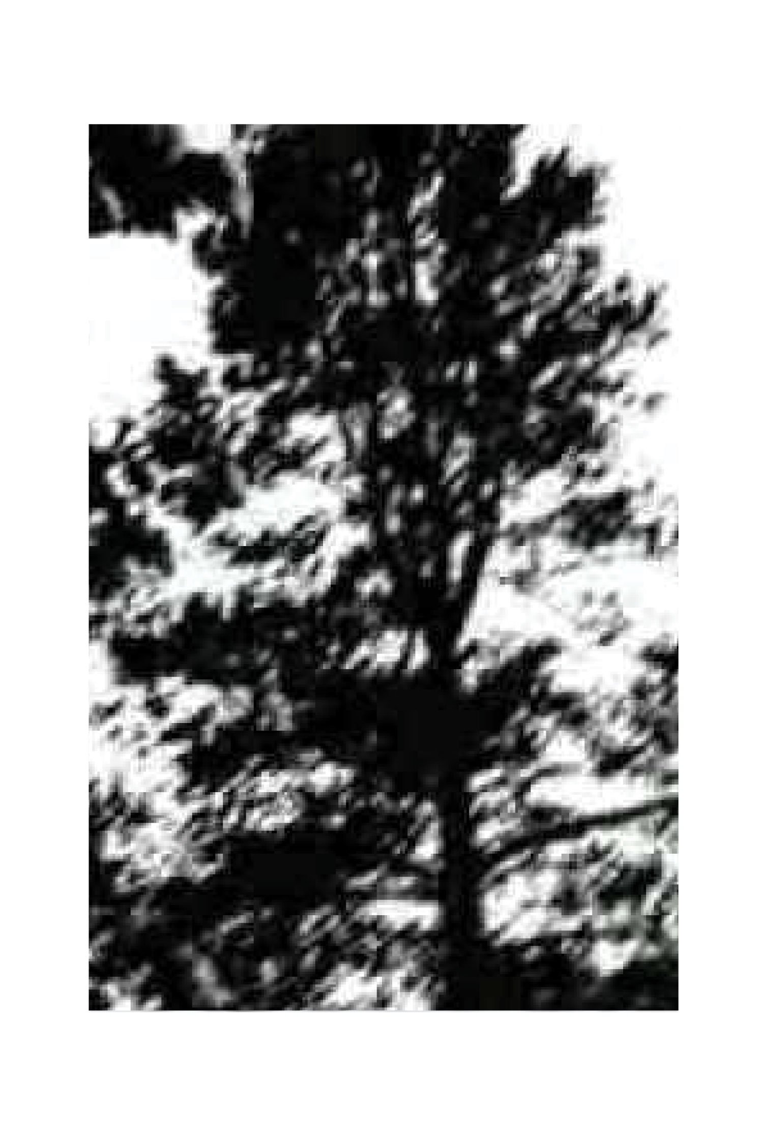 Necrowebsite.com1.jpg