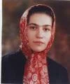 Iranian Academics Symposium Best Scientific Content prize awarded to Nasrin Lotfibakshaeish