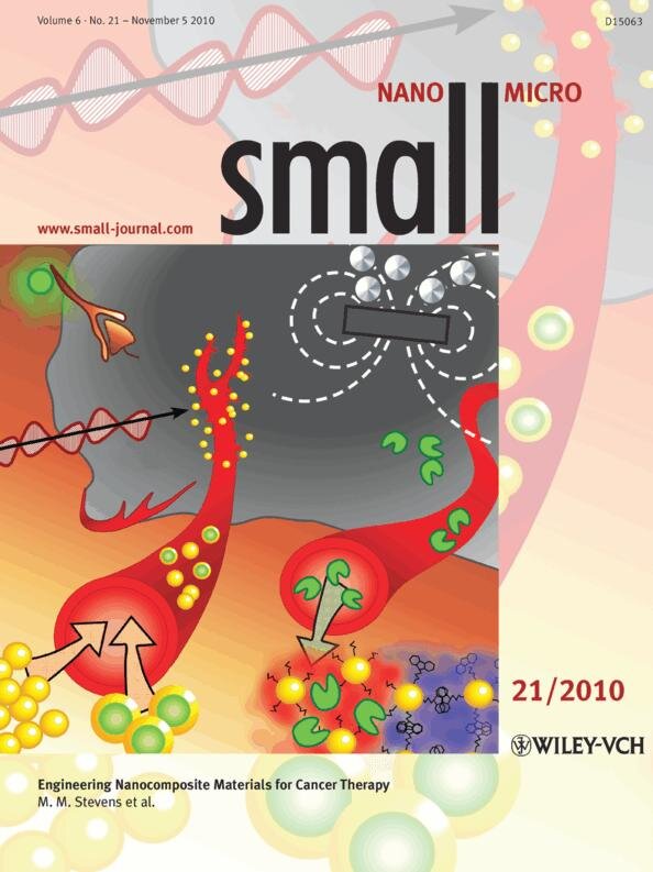 Paper by Dr Caterina Minelli and Mr Stuart Lowe featured on front cover of Small