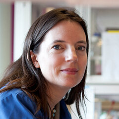 Prof Molly Stevens wins Corday-Morgan Prize