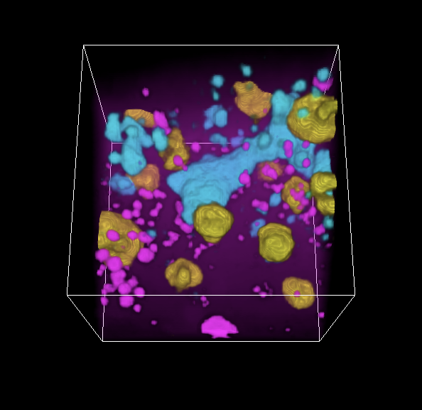 Digital reconstruction of 3D Raman spectroscopy data