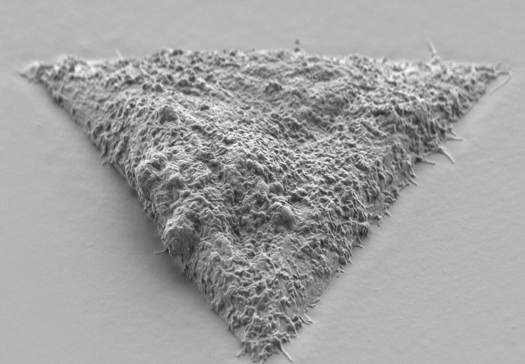 SEM micrograph showing triangular cell von Erlach Nature Materials