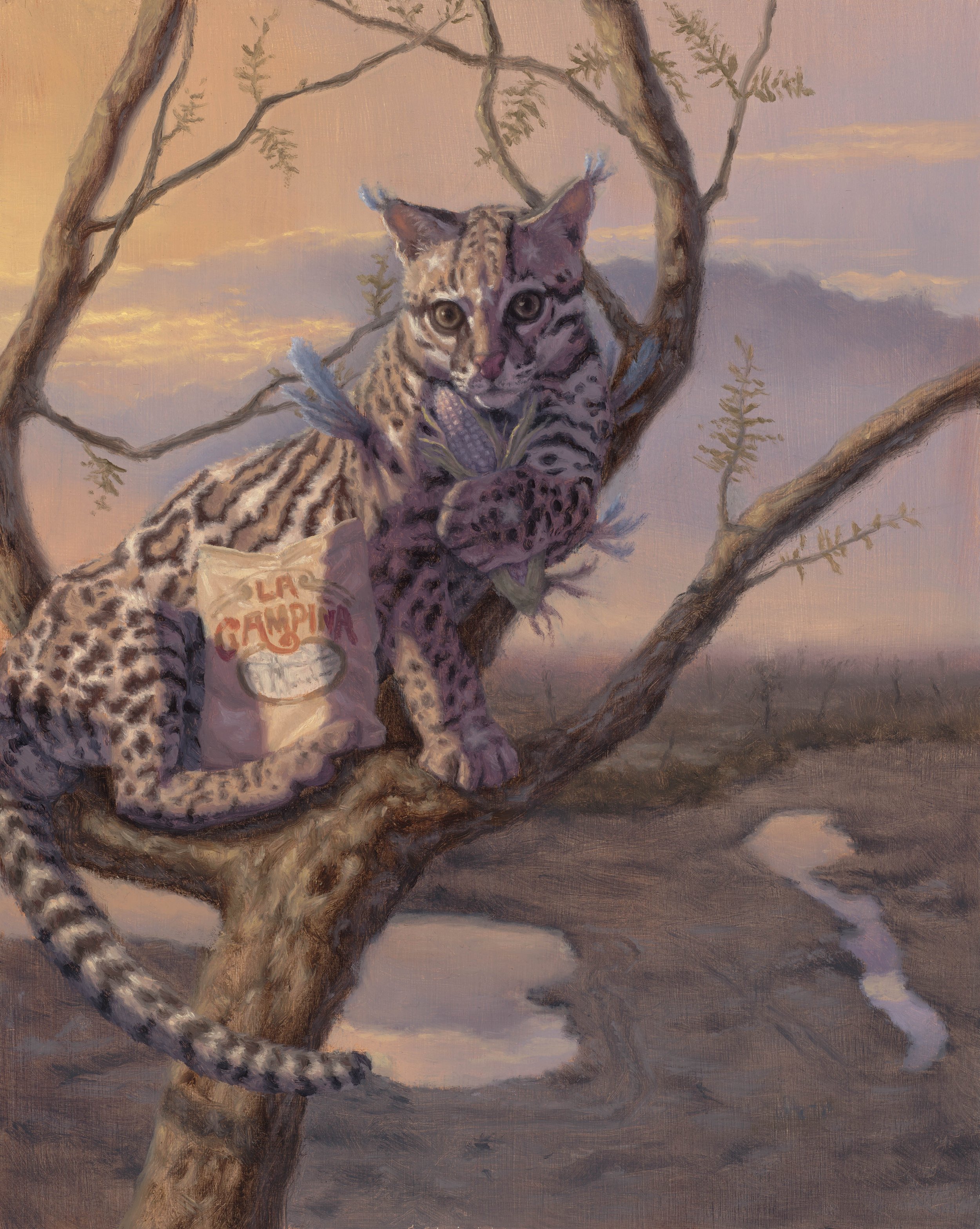   Ocelot/Cunaguaro , 10 x 8 inches, oil on panel, 2022 