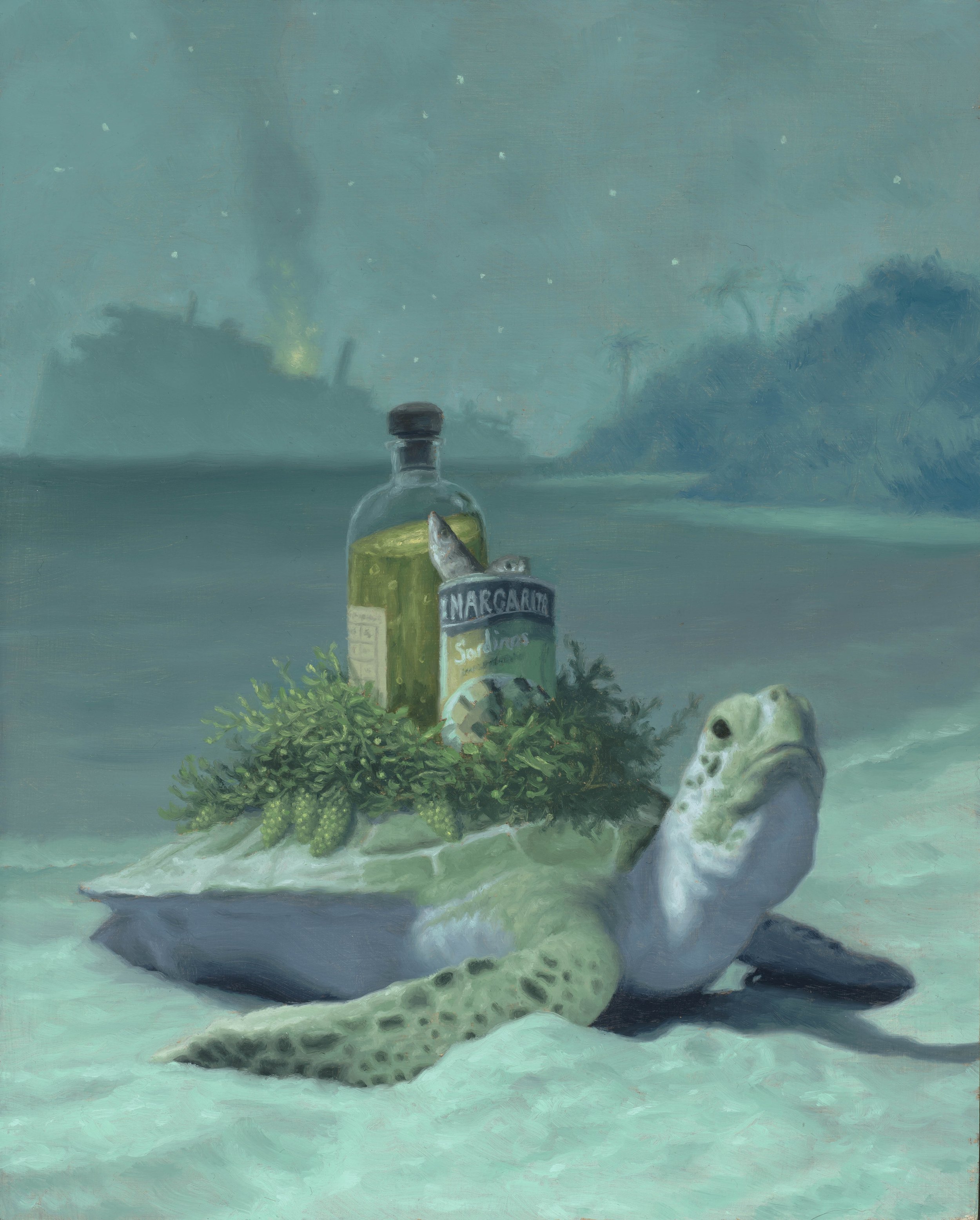   Turtle/Tortuga , 10 x 8 inches, oil on panel, 2022 