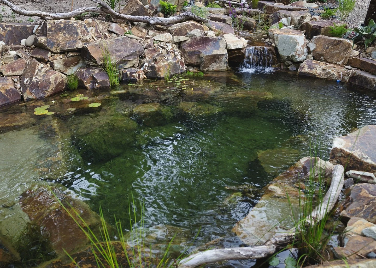 recreation_pond_natural.jpeg
