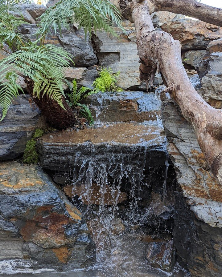 Our latest pond-less stream and waterfall in Templestowe is looking schmick! We're all stoked with this one, it came up so well! We included maindenhair ferns and soft tree ferns to soften the waterfall and add pops of colour between the rocks.

#tem