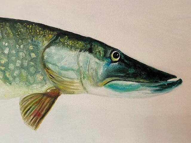 Snoek op doek. Olieverf. By BiniVis. #snoek #sportvissen #sportvisserijoostnederland #sportvissersnederland #ikhouvanvissen