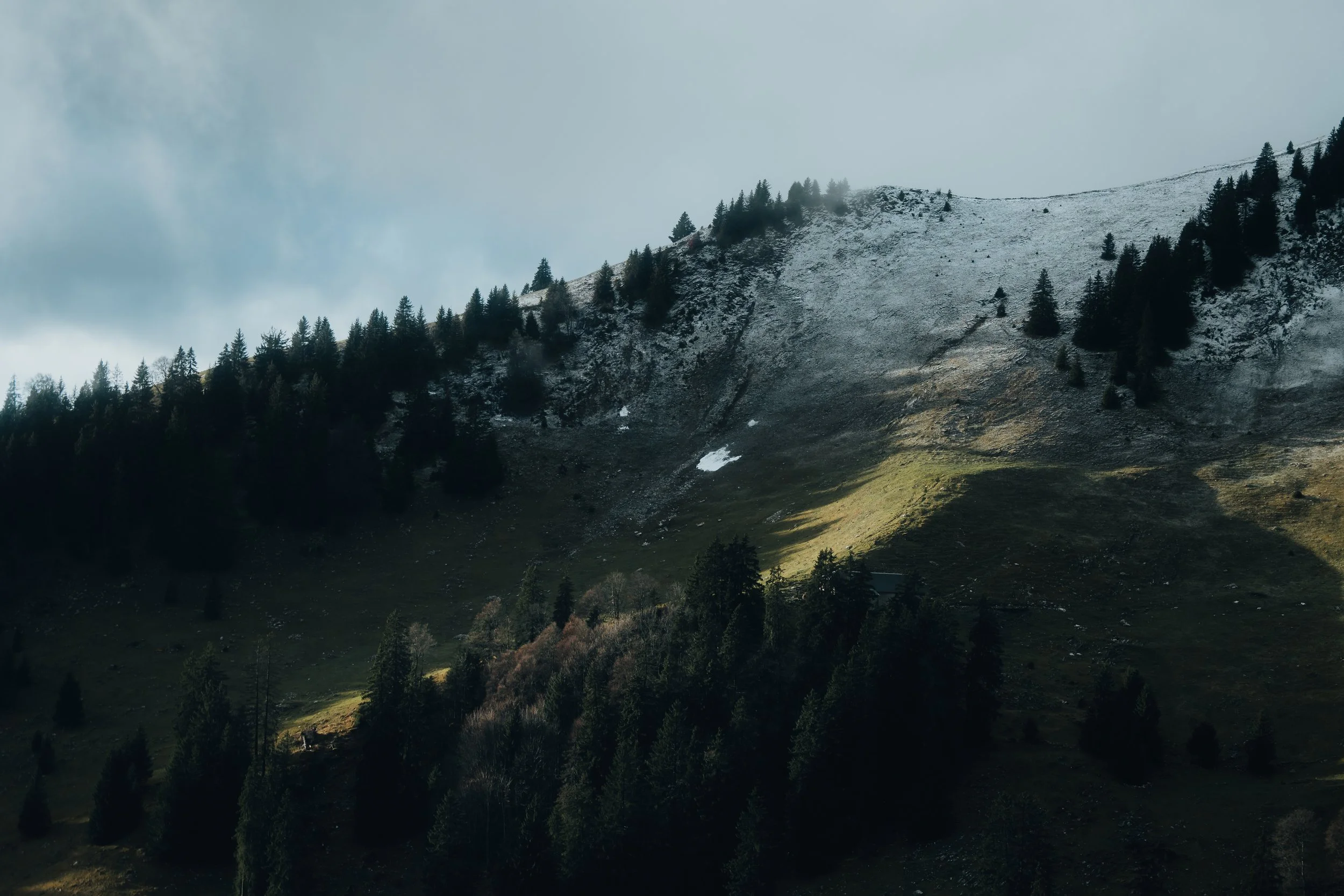 000_3625.jpg