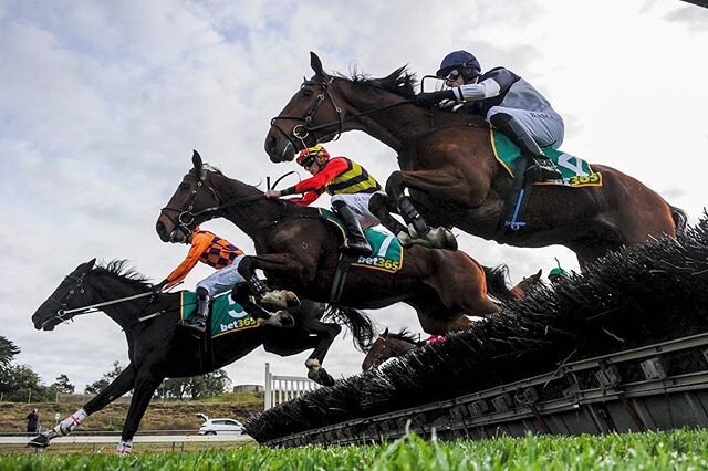 The might Stanley from Darwin is riding it out for the win ⚡️ridden by Dylan McDonagh jumping on the way to winning the Ecycle Solutions Maiden Hurdle at @castertonracingclub yesterday. #howgoodisjumpsracing