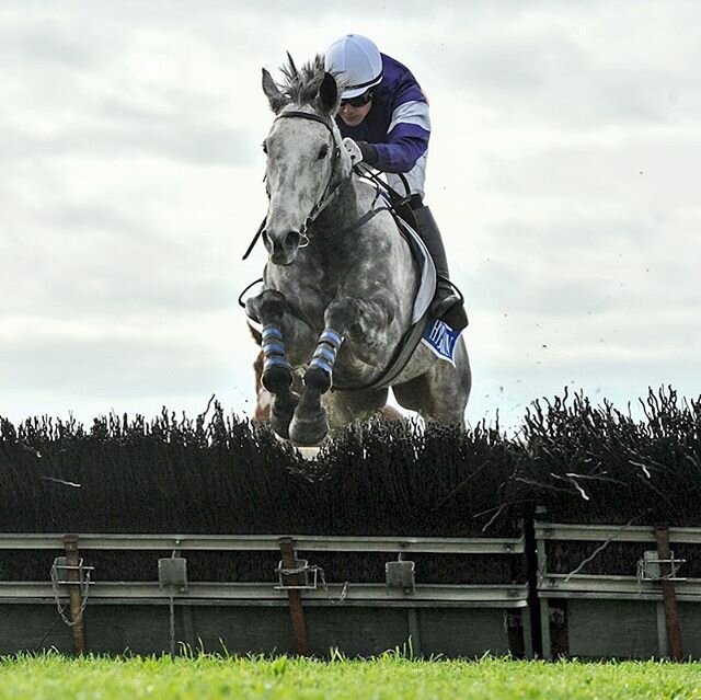 Mighty fine WOODSMAN loving to clear the fences with elegance. #howgoodisjumpsracing