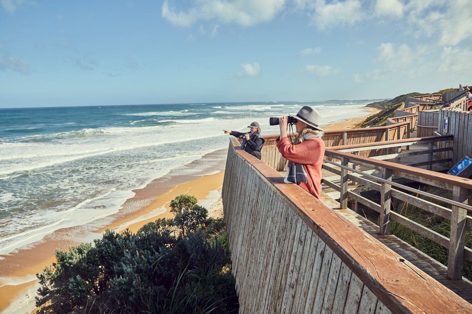 warrnambool whale watching boat tours