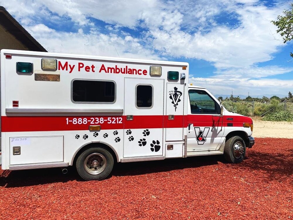 My Pet Ambulance My Pet Ambulance