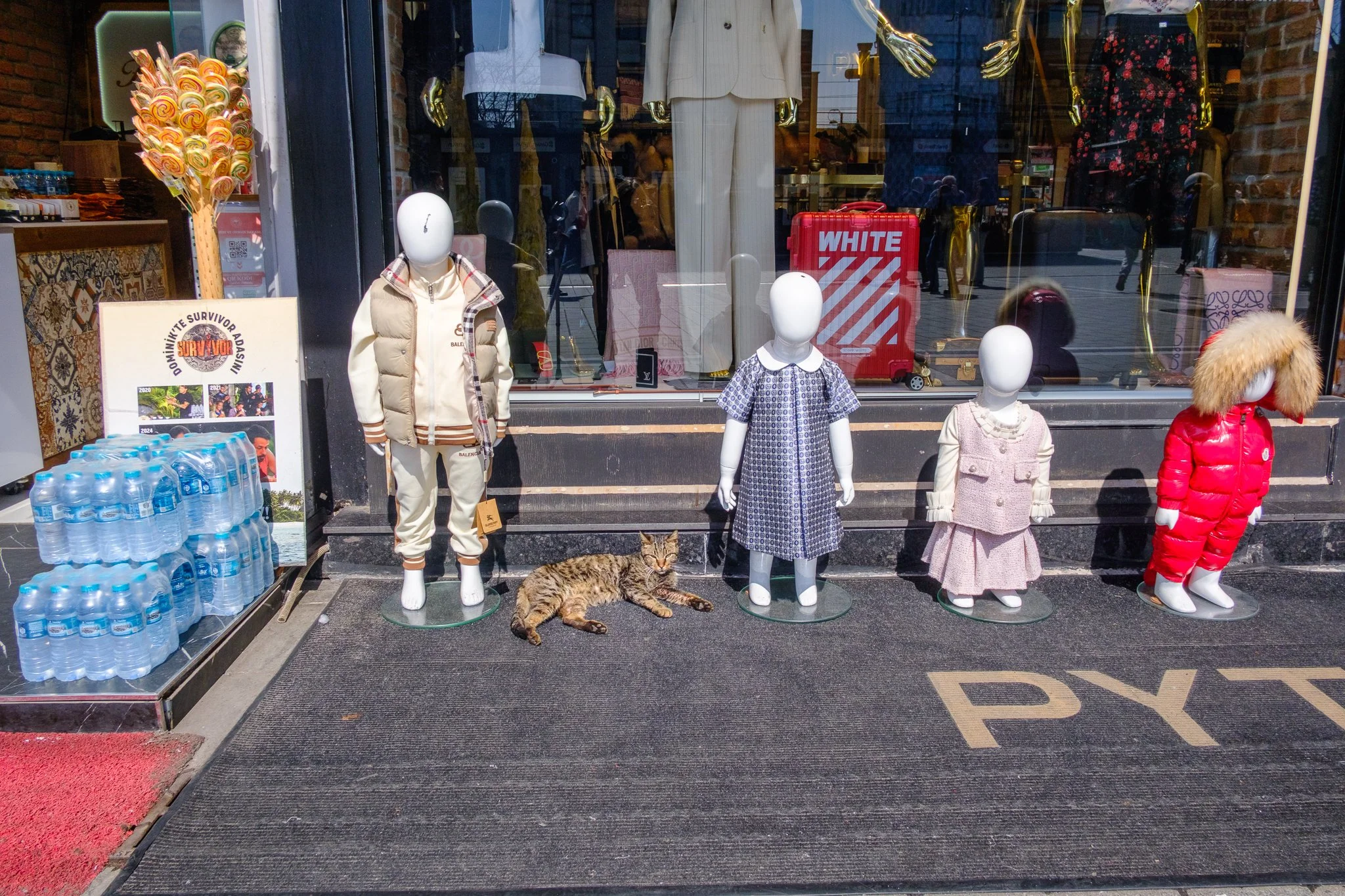 DSCF0910.jpg