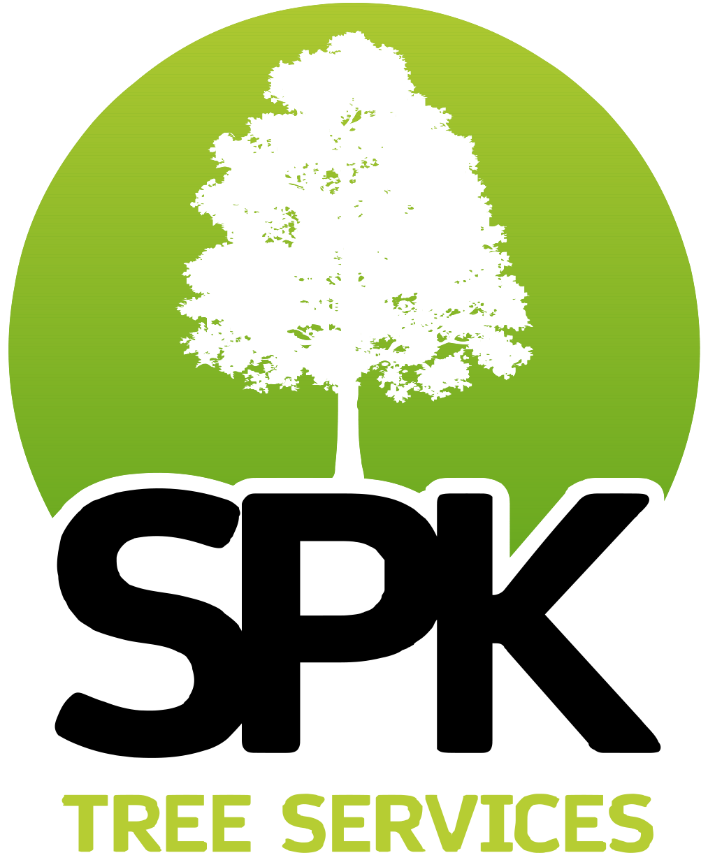 SPK - Logo on White - Green Text.png