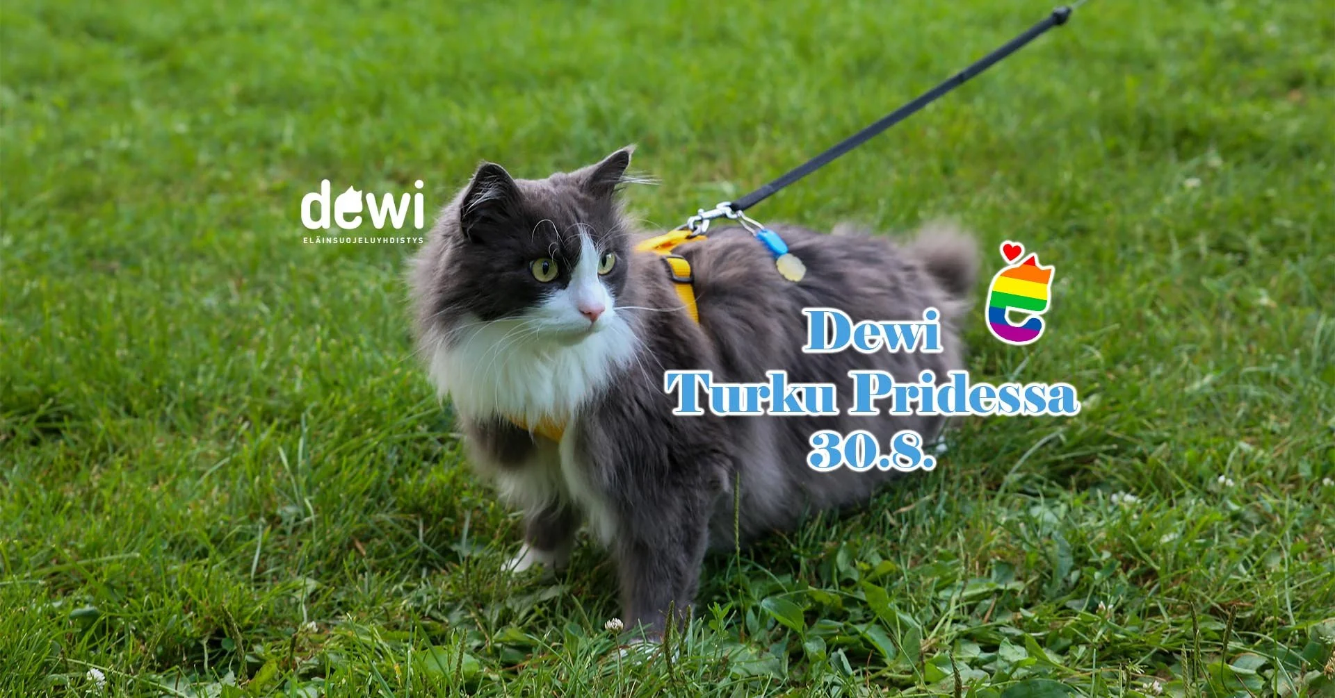 Turku Pride