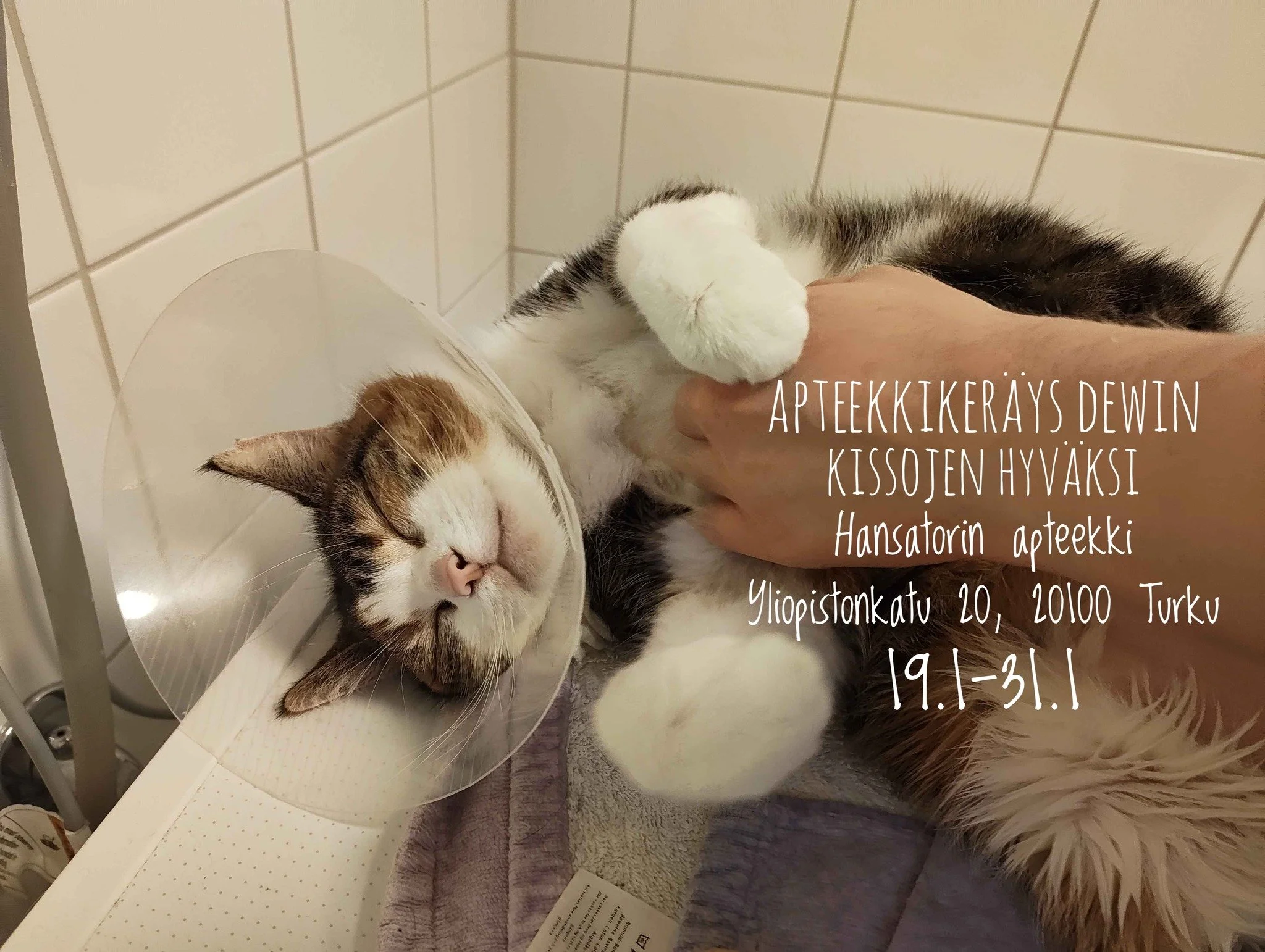 Apteekkikeräys Hansatorin apteekissa