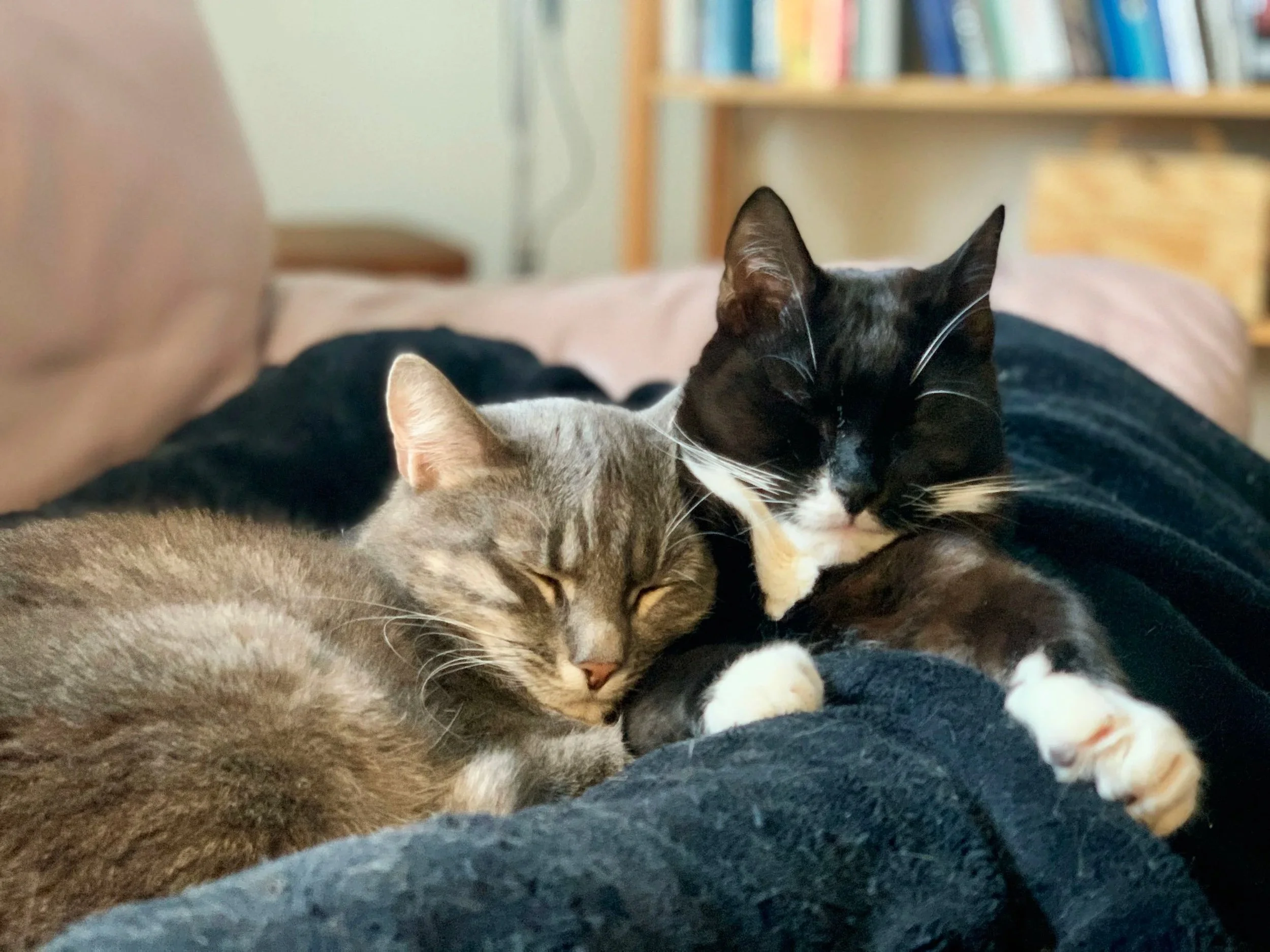 Dewi Naantalin Tuhkamarkkinoilla