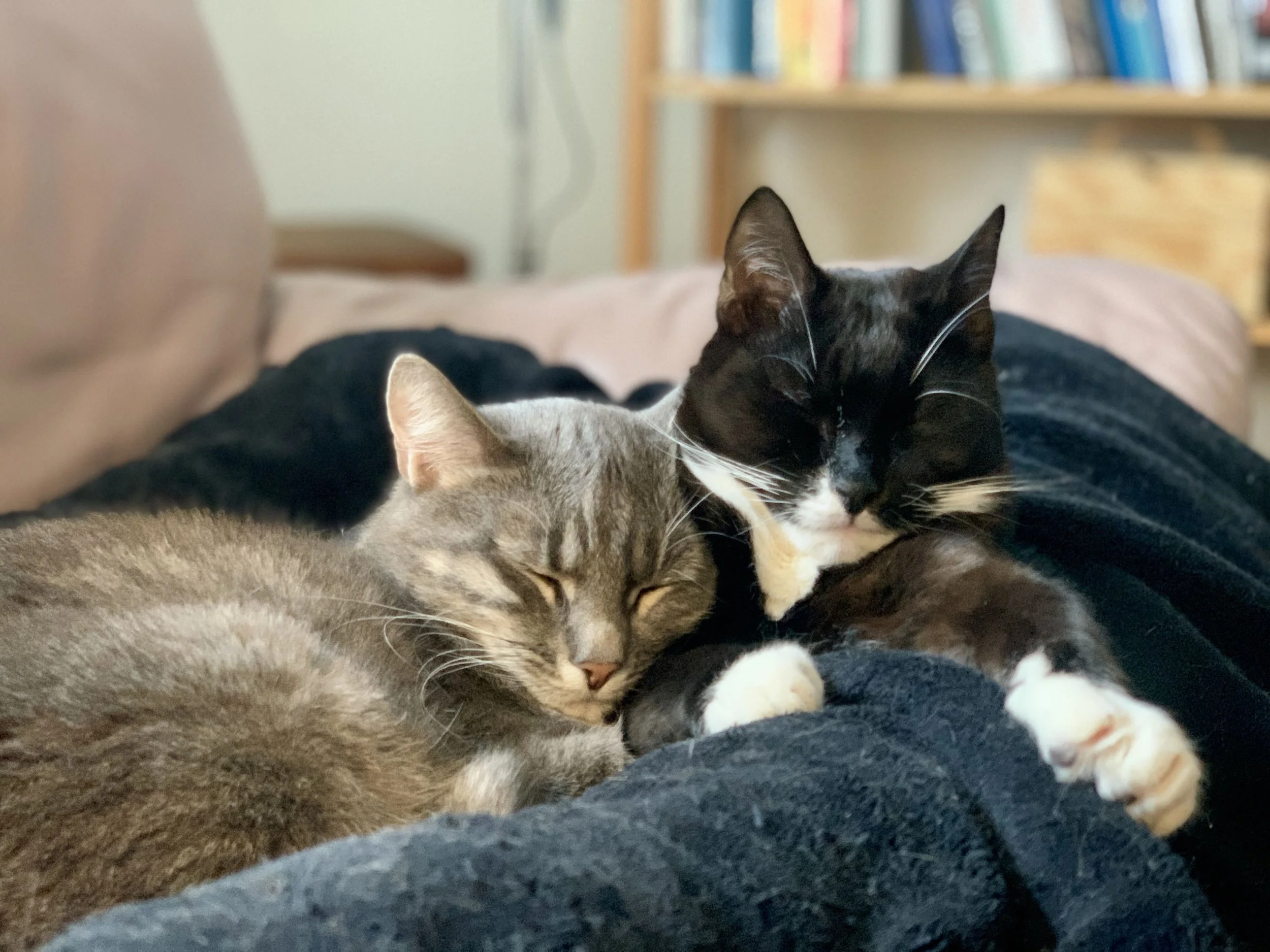 Tuhkamarkkinat Naantalissa