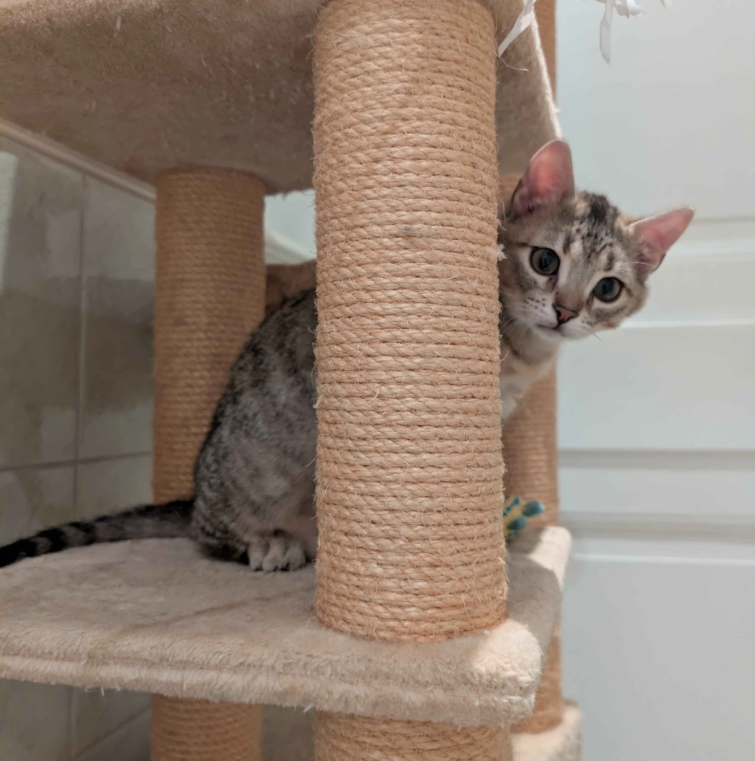 Turun Kauppatorin Suurmarkkinat