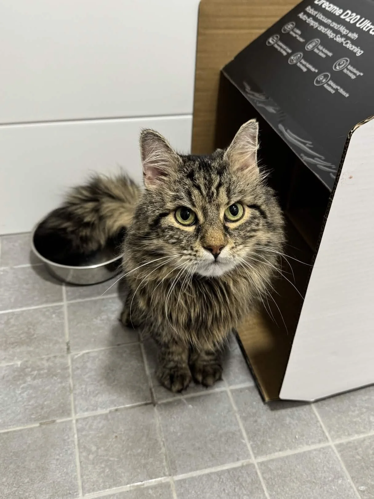 Länsi1 Yllätyspäivät