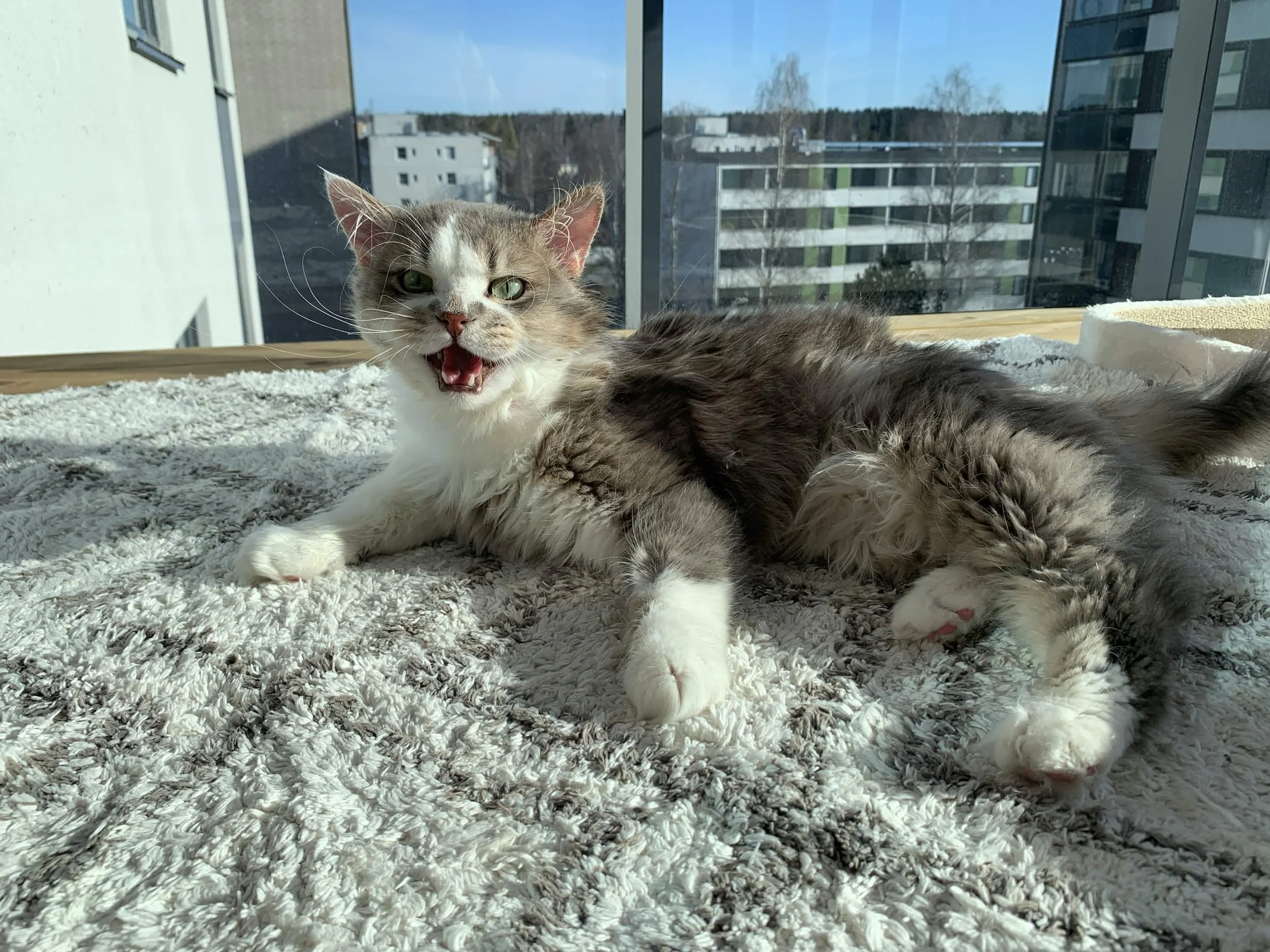 Myyntipöytä Portsan Katumarkkinoilla