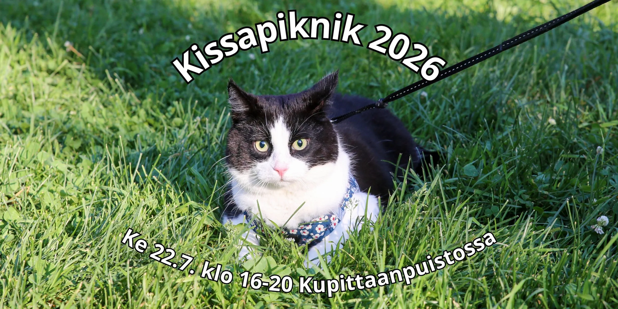 Kissapiknik 2026