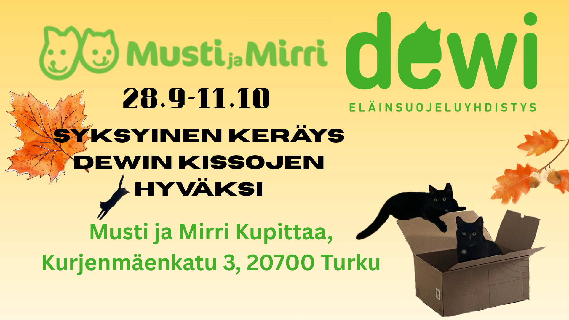 Keräys Kupittaan Mustissa ja Mirrissä