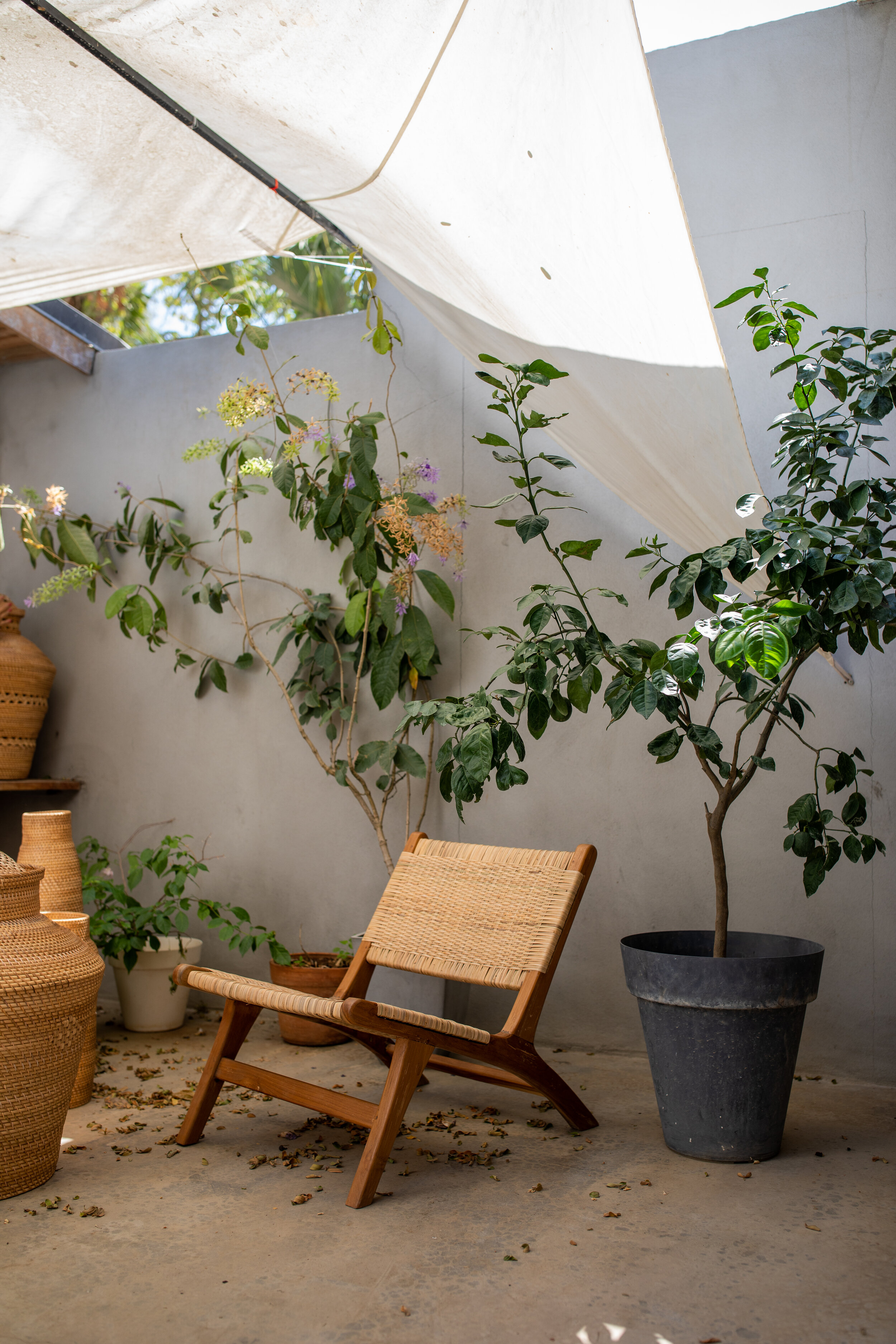 RATTAN &amp; TECA LOUNGER