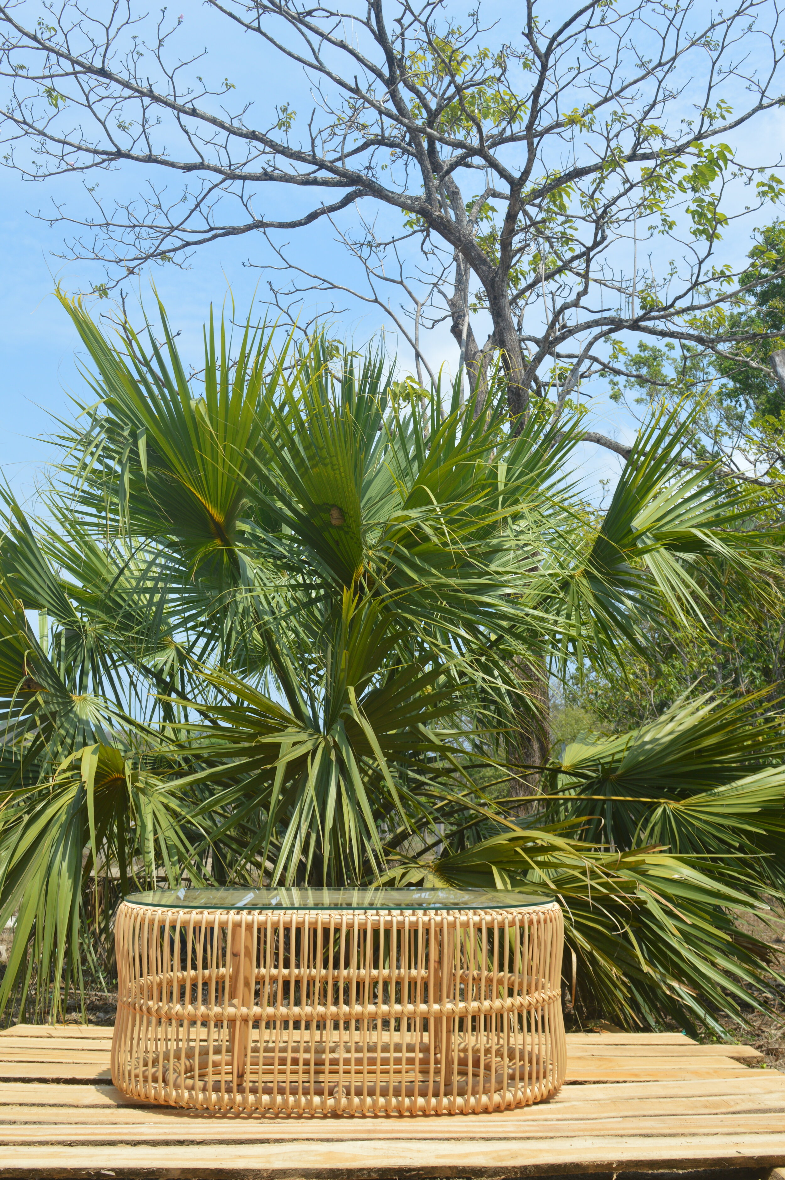 OVAL RATTAN COFFEE TABLE
