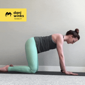 6 Cat-Cow Variations for Spinal and Shoulder Mobility — Dani Winks ...