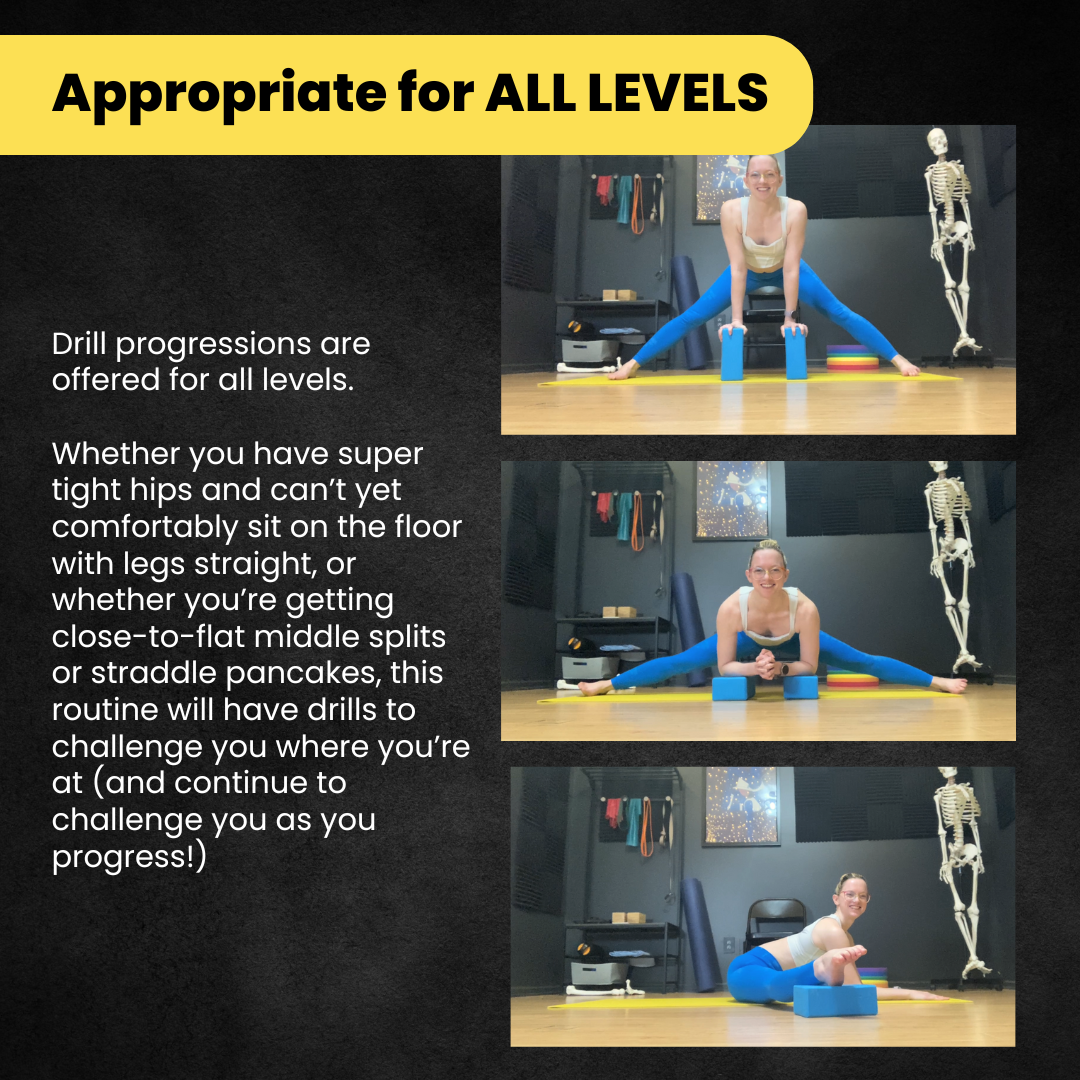 Class Recordings & On-Demand Classes — Dani Winks Flexibility