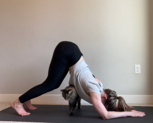 3 Ways to Get into a Wall-Supported Forearm Stand (Pincha Pose