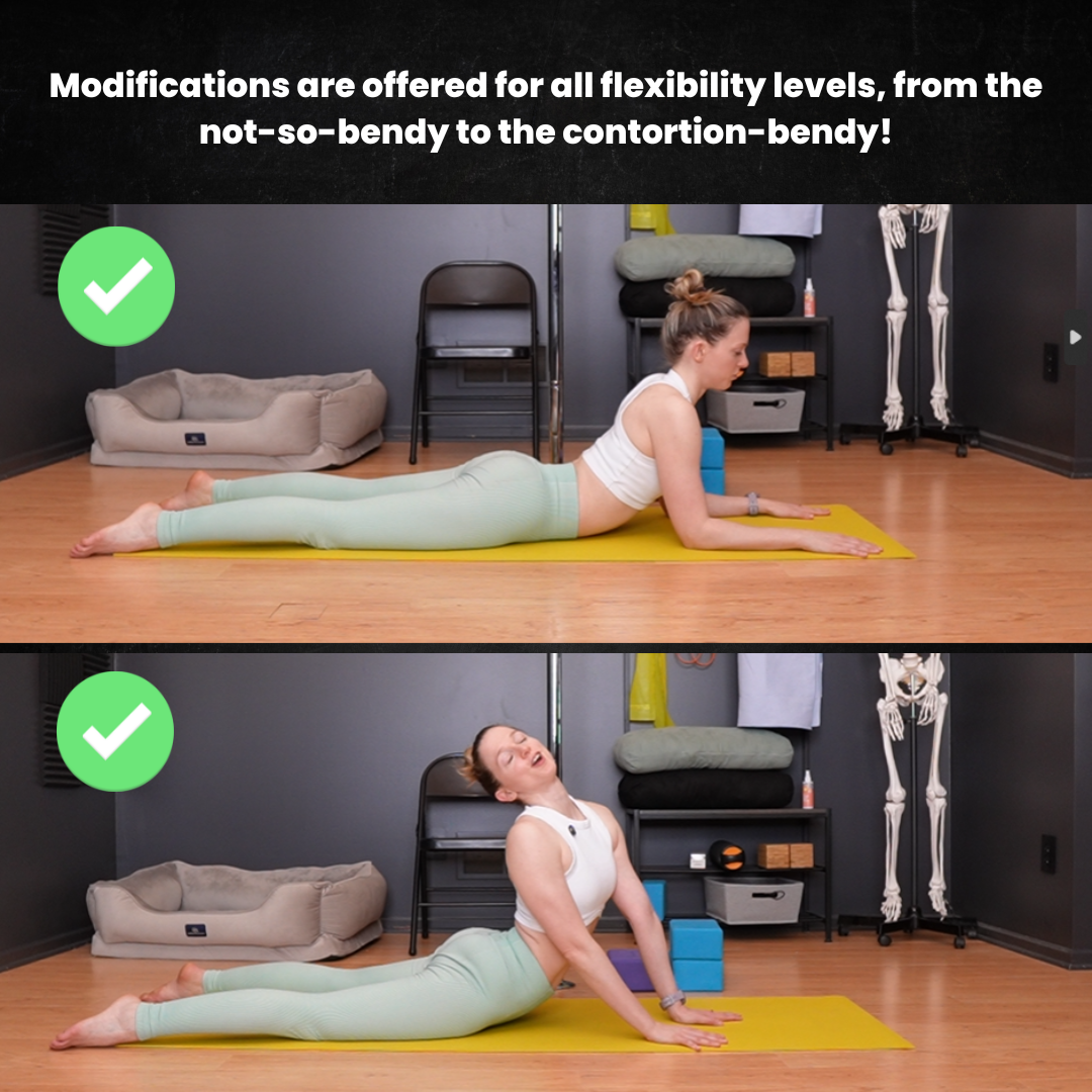 workshop prerecs.png