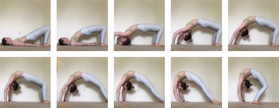 The Ultimate Bridge Pose Progression Guide — Dani Winks Flexibility