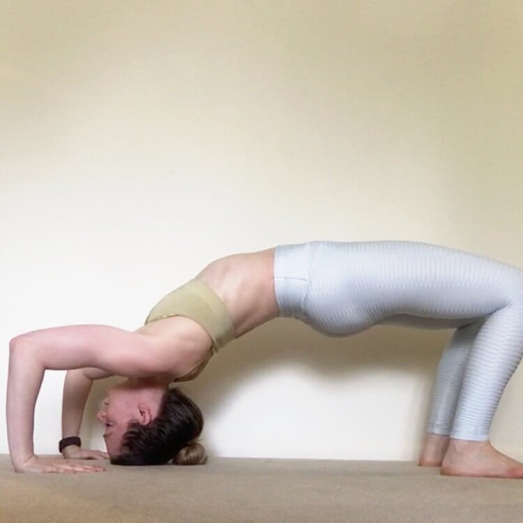 The Ultimate Bridge Pose Progression Guide — Dani Winks Flexibility