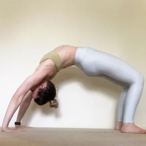 The Ultimate Bridge Pose Progression Guide — Dani Winks Flexibility