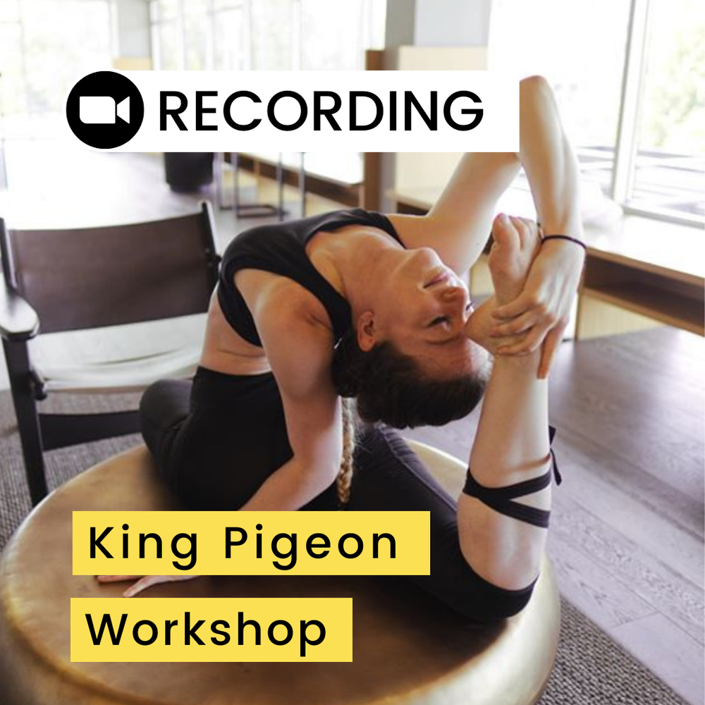 King Pigeon Workshop